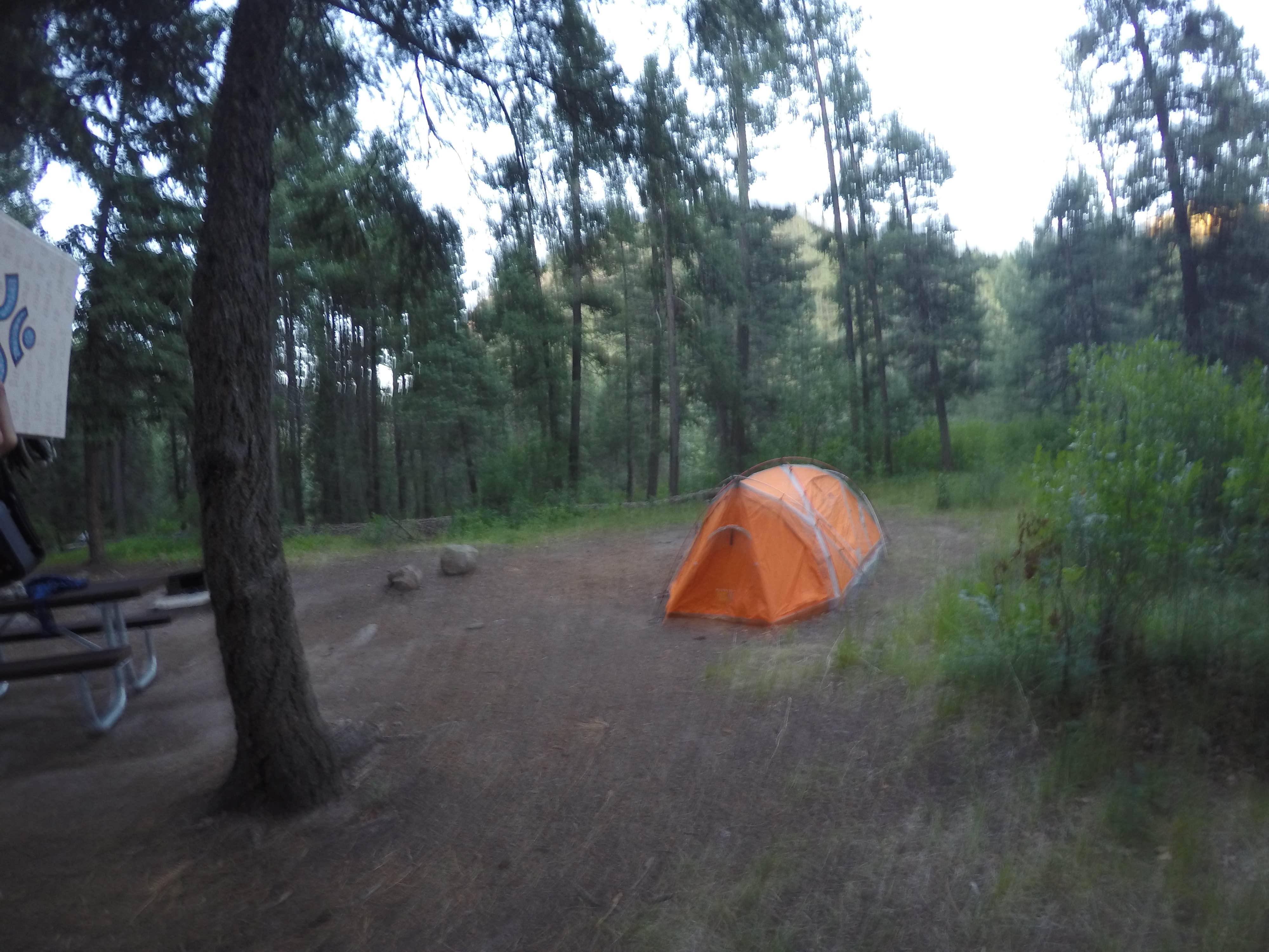 Camper submitted image from East Fork Campground - 2