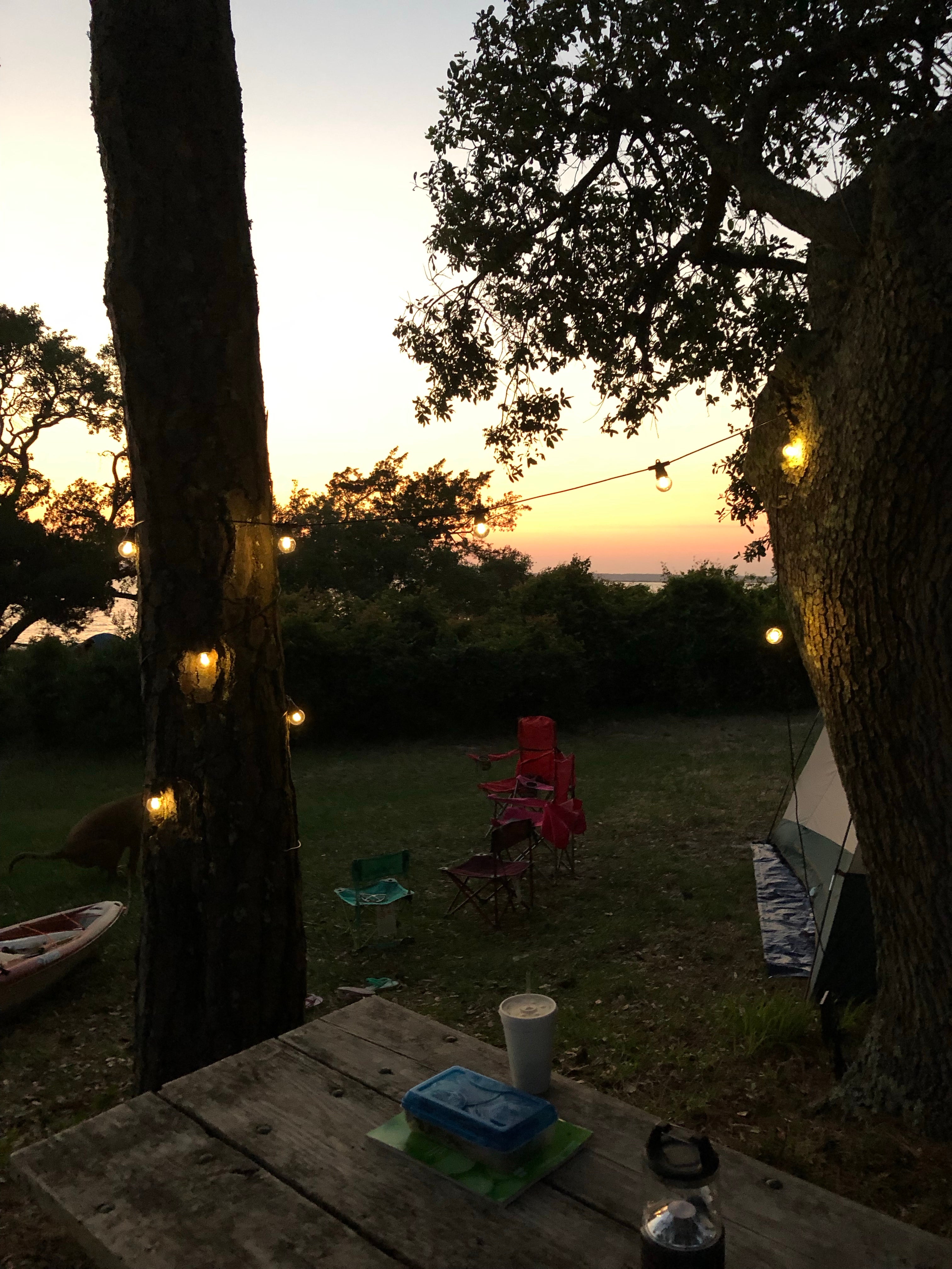 Camper submitted image from Fort Fisher Air Force Recreation Area - 3