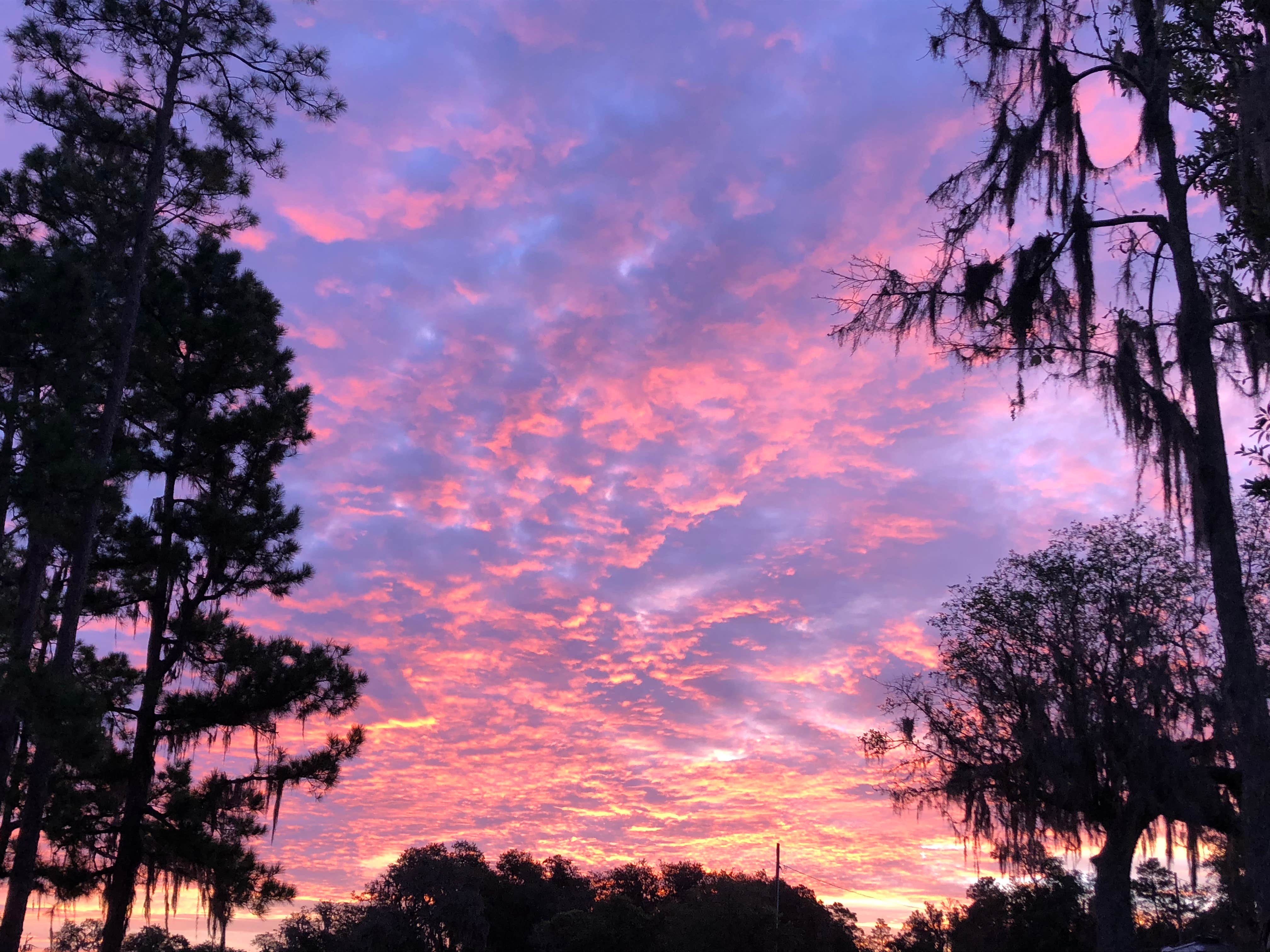 Camper-submitted photo at Camp Blanding RV Park near Middleburg, FL
