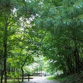 Review photo of Amicalola Falls State Park Camping by Jenn B., May 27, 2019