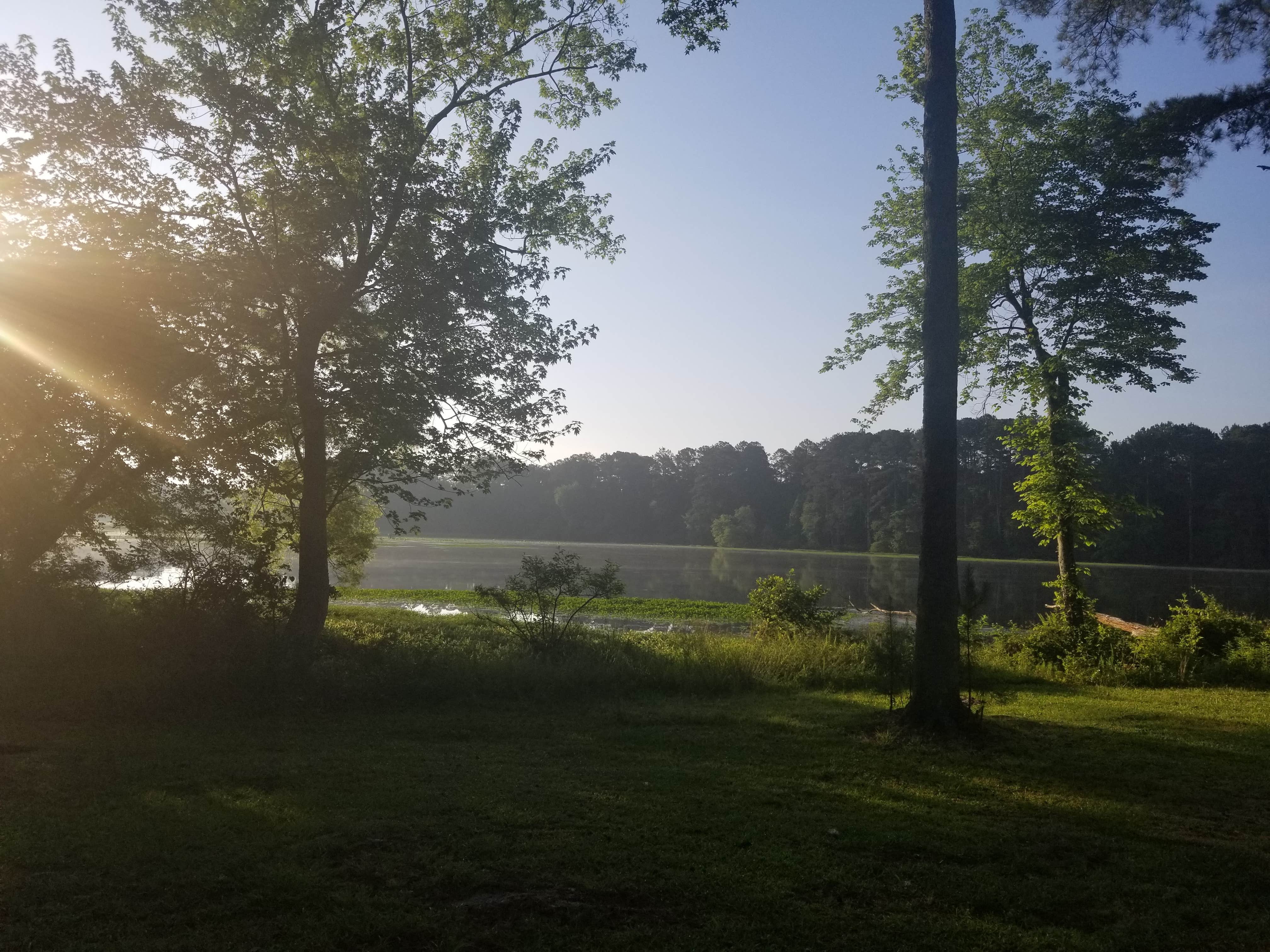 Camper submitted image from Goose Pond Colony Resort Campground - 2