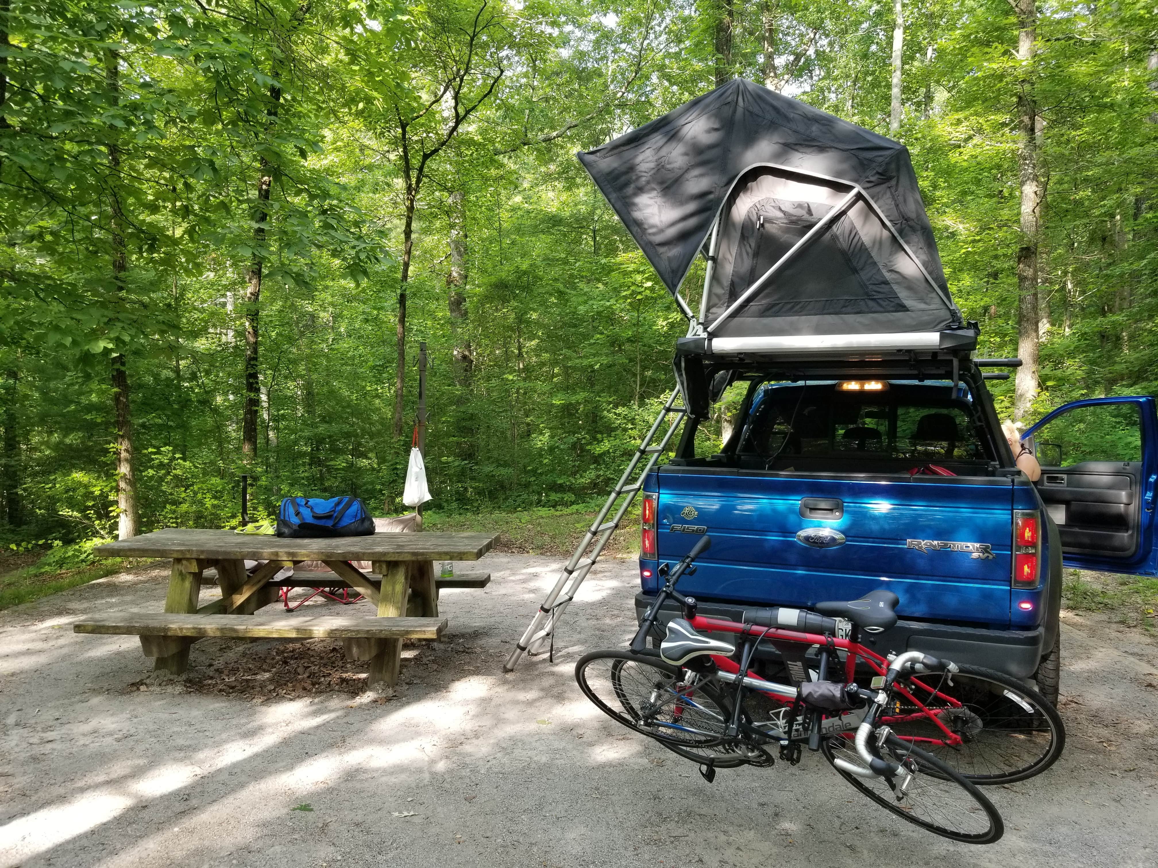 Camper submitted image from Chilhowee Recreation Area - 4