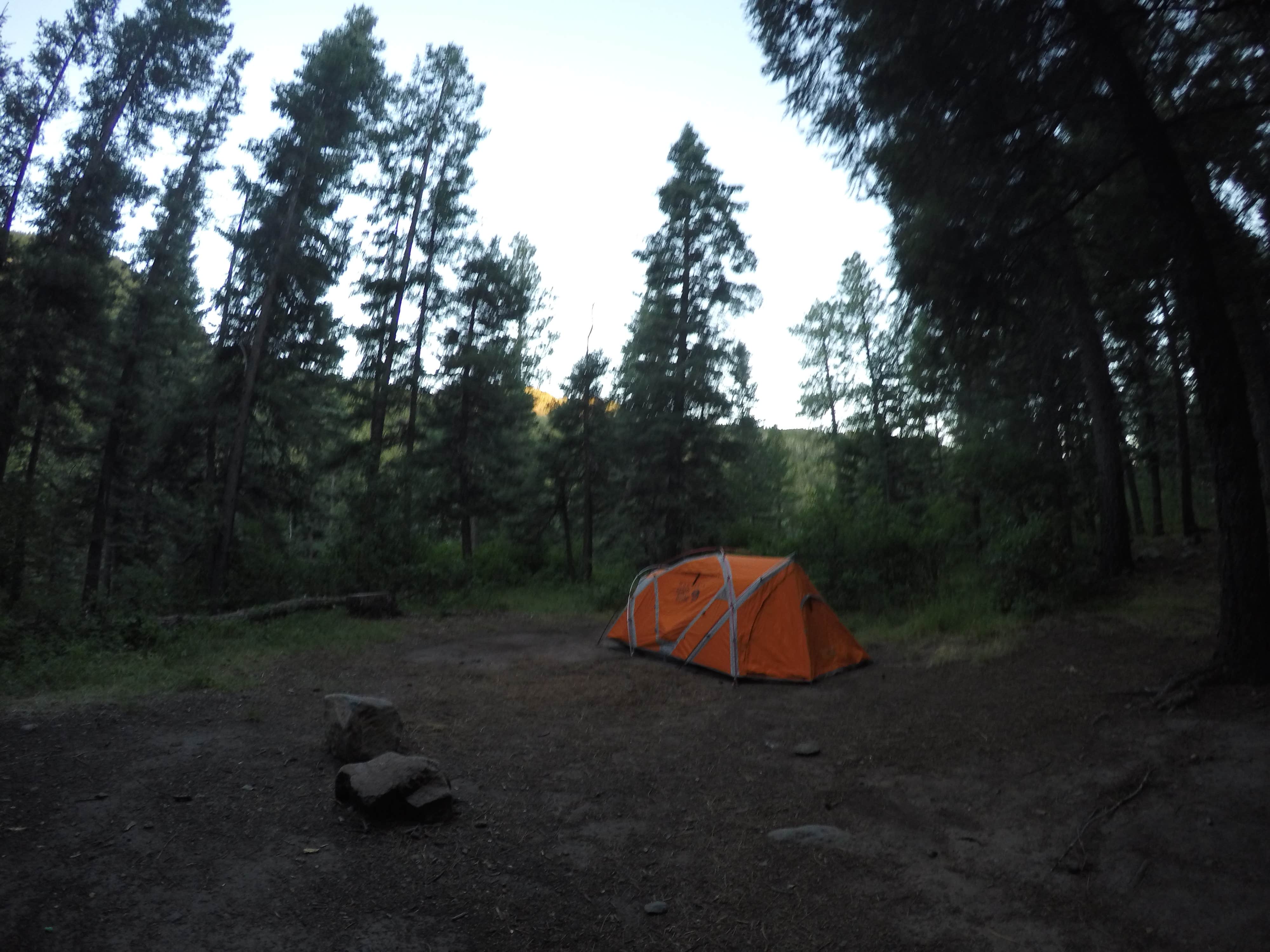 Camper submitted image from East Fork Campground - 5