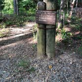 Review photo of Chilhowee Recreation Area by Lori H., May 27, 2019