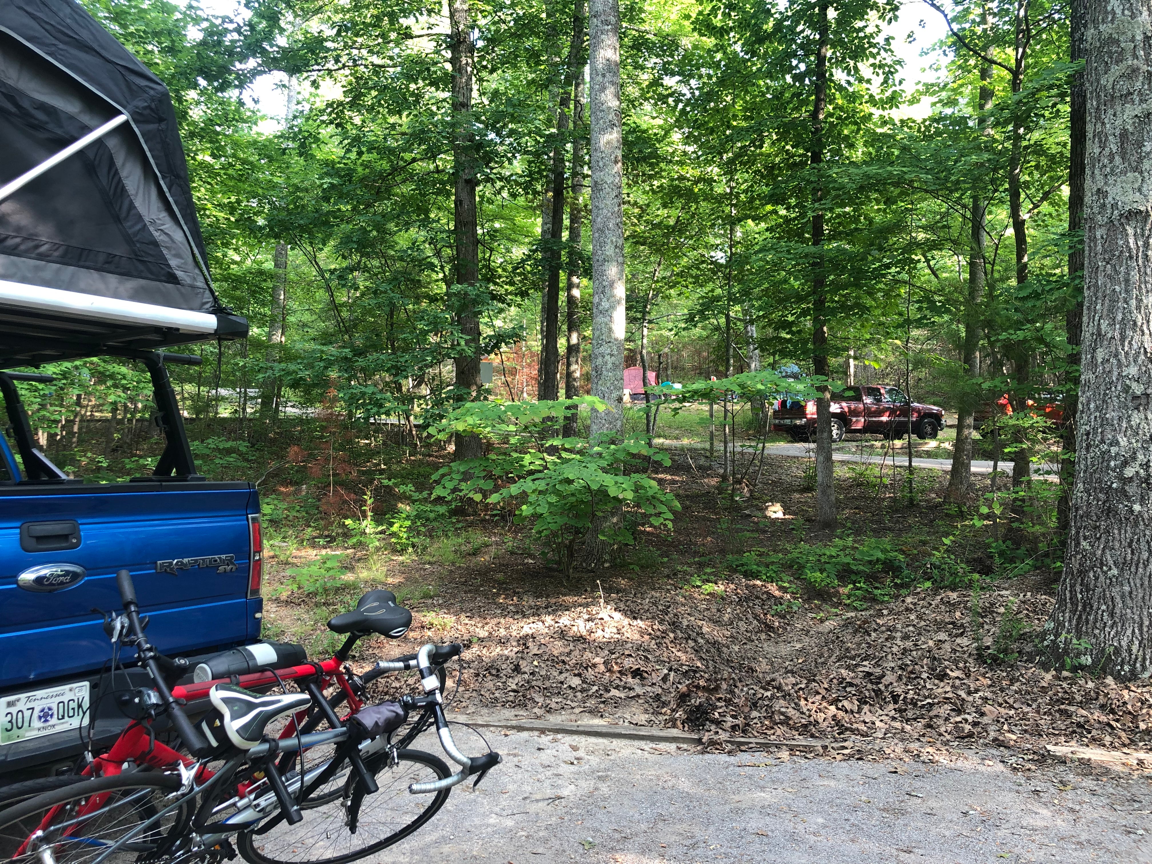 Camper submitted image from Chilhowee Recreation Area - 4
