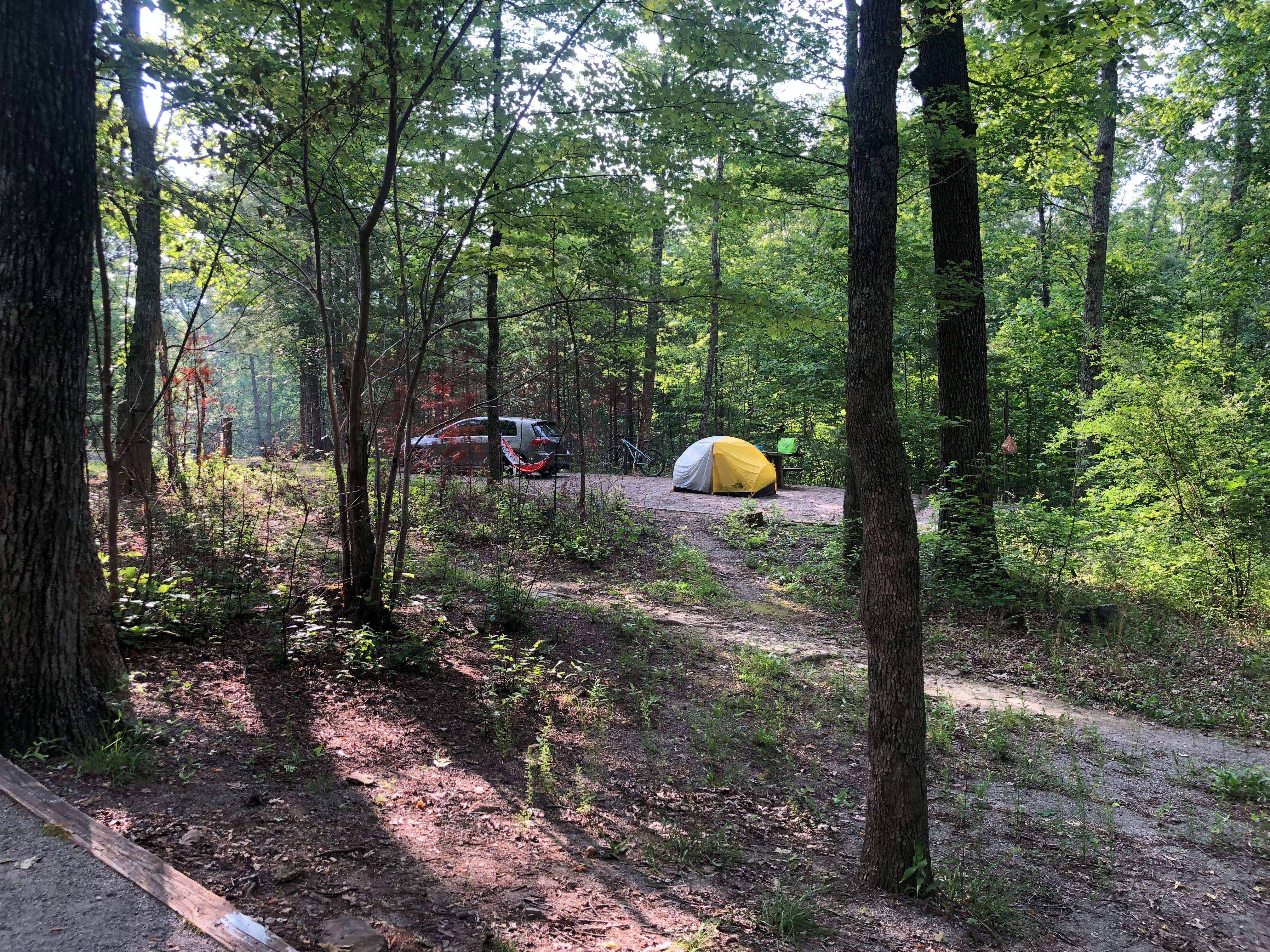 Lori H.'s photo at Chilhowee Recreation Area near Benton, TN