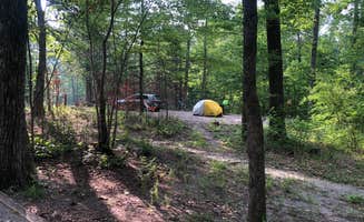 Lori H.'s photo at Chilhowee Recreation Area near Cleveland, TN