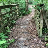 Review photo of Chilhowee Recreation Area by Lori H., May 27, 2019