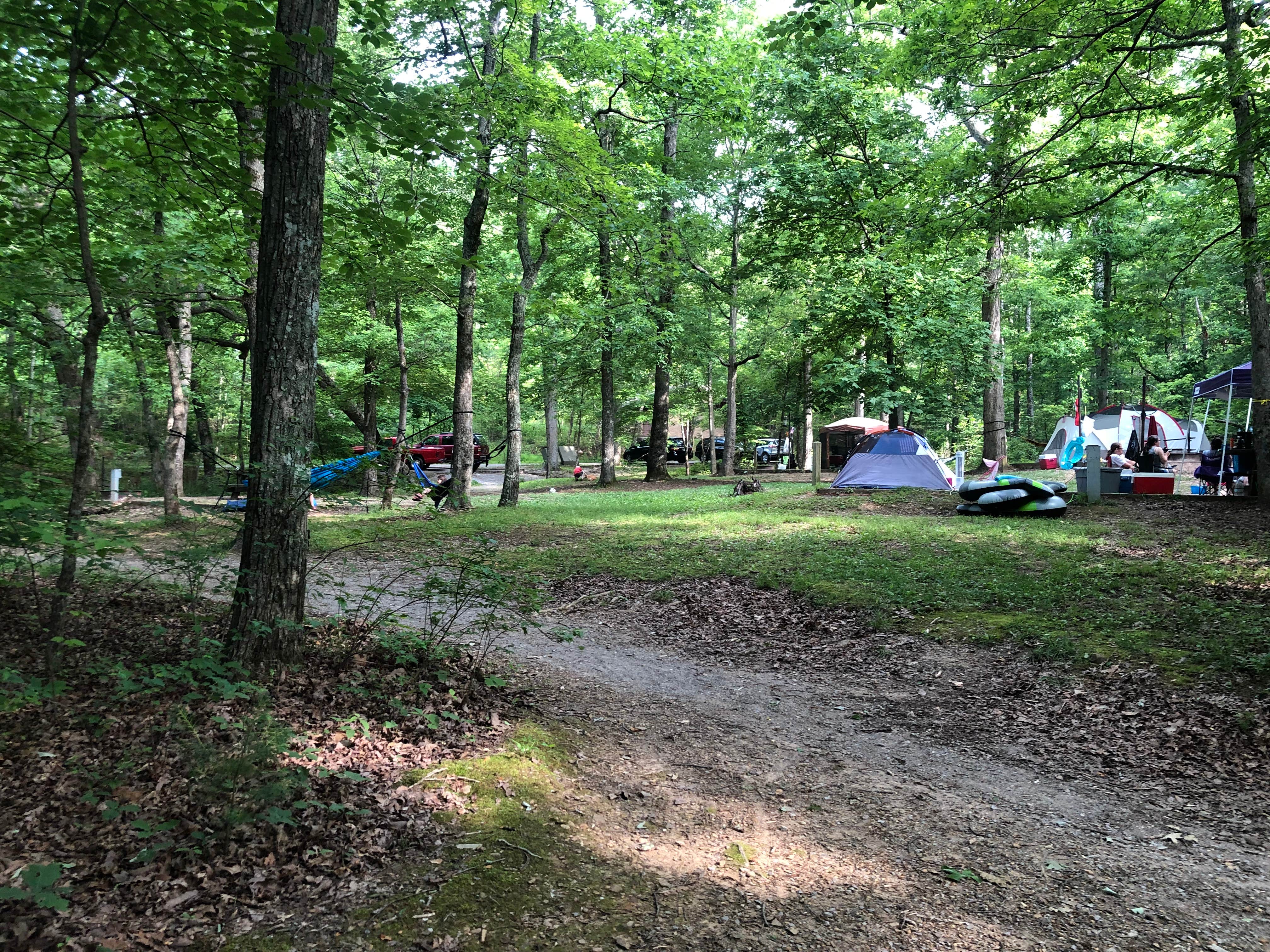 Lori H.'s photo at Chilhowee Recreation Area near Delano, TN