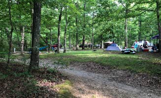 Lori H.'s photo at Chilhowee Recreation Area near Etowah, TN
