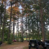 Review photo of Goose Pond Colony Resort Campground by Lori H., May 27, 2019