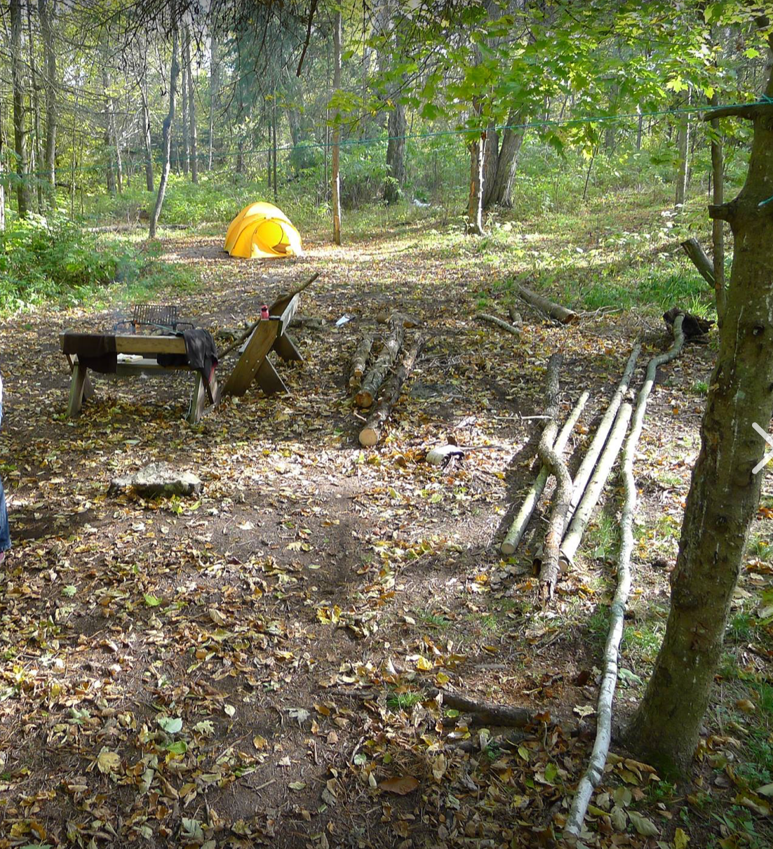 Sara S.'s photo of tent camping at Newport State Park Campground near Ephraim, WI