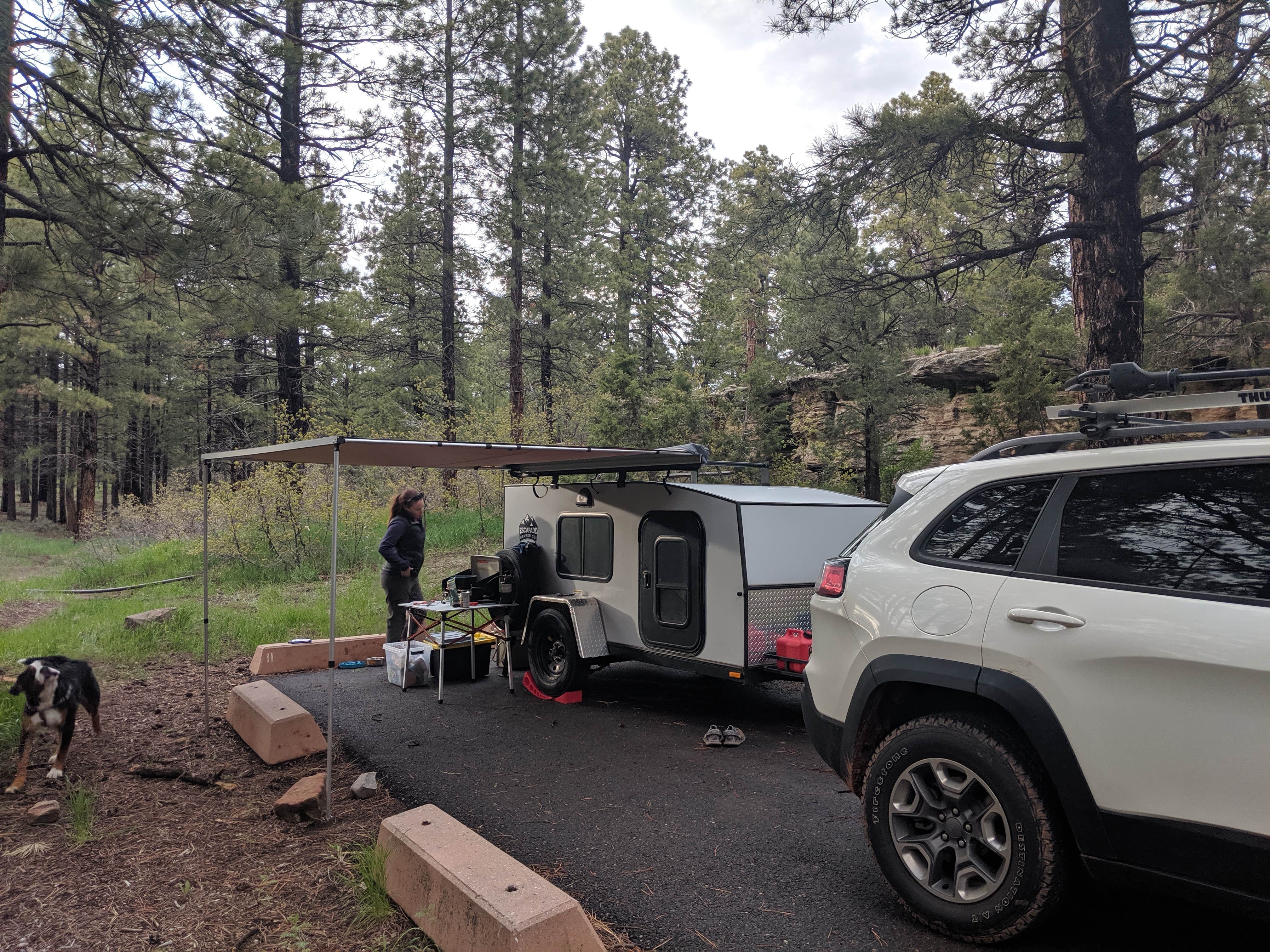 Brian P.'s photo of camping with pets at Devils Canyon Campground near Monticello, UT
