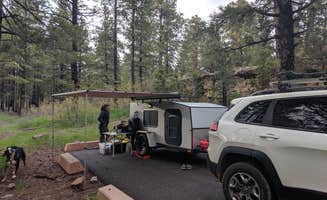 Brian P.'s photo of camping with pets at Devils Canyon Campground near Blanding, UT