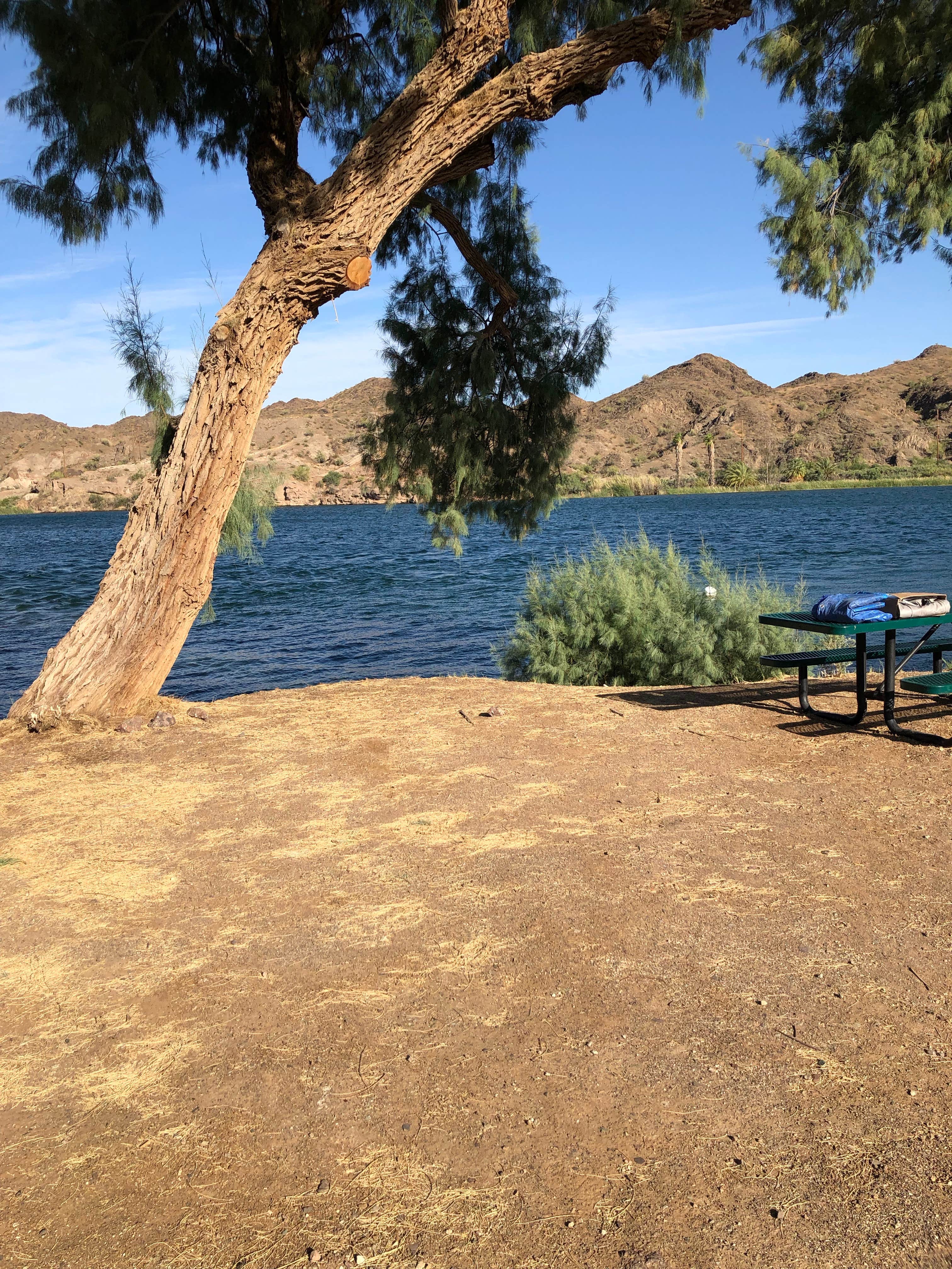 Camper-submitted photo at Crossroads near Earp, CA