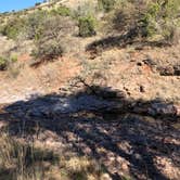 Review photo of Davis Mountains State Park by Deborah C., May 27, 2019