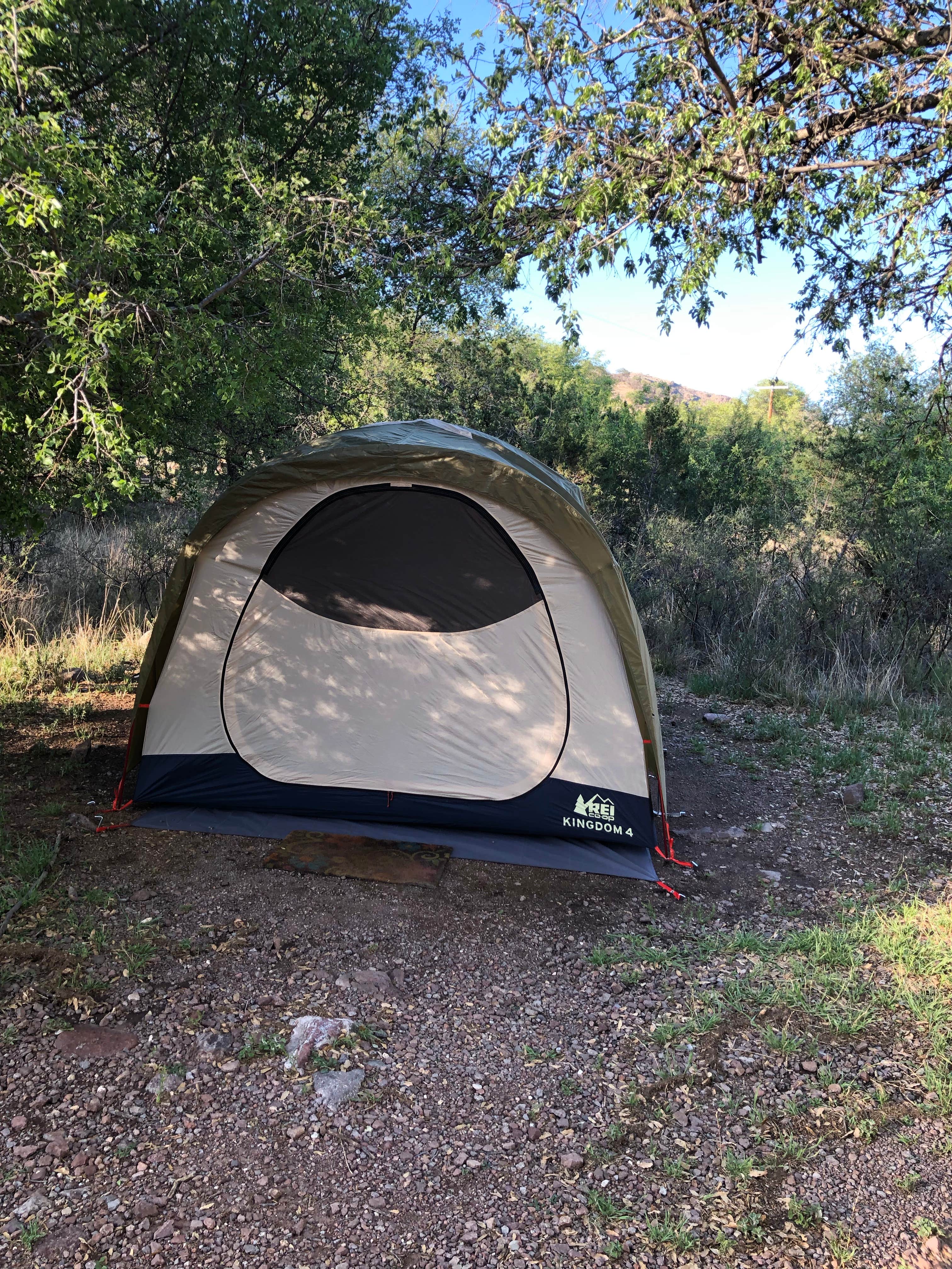 Deborah C.'s photo at Davis Mountains State Park Campground near Balmorhea, TX