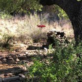 Review photo of Davis Mountains State Park by Deborah C., May 27, 2019