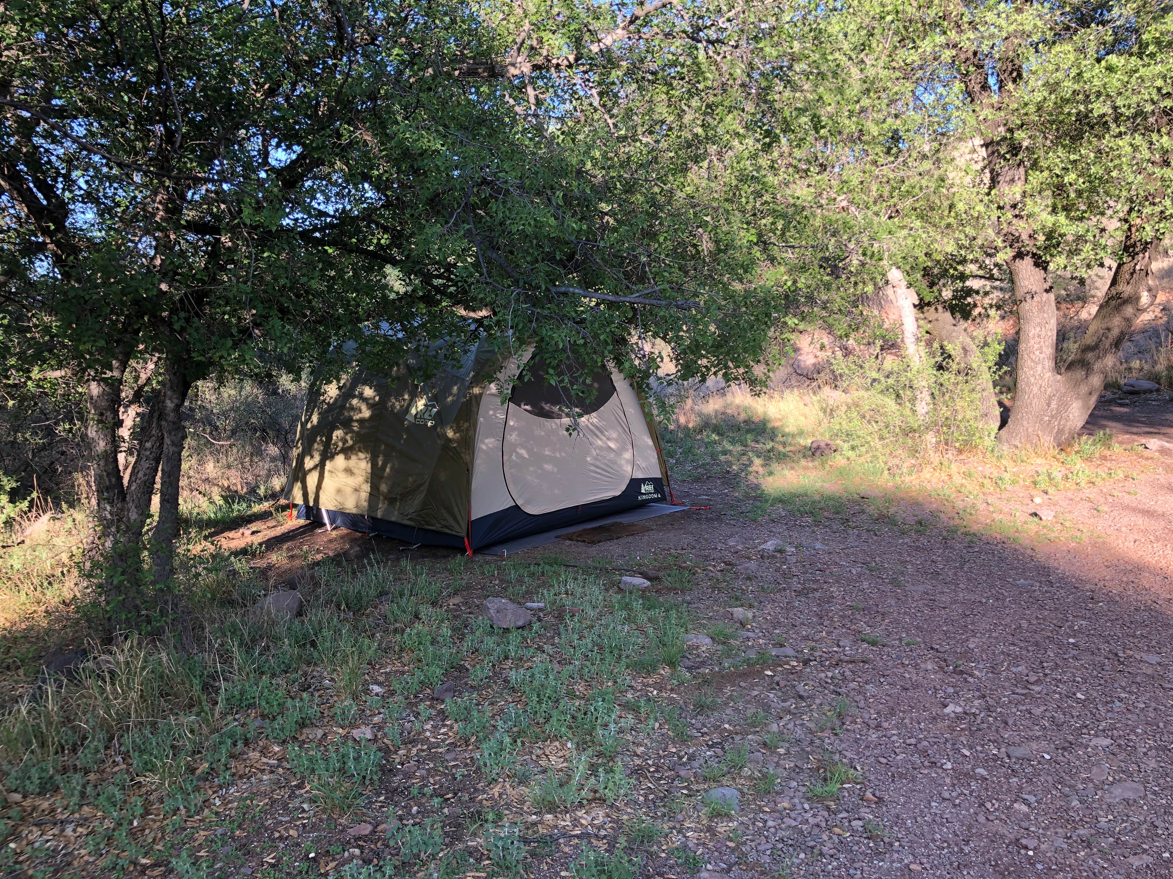 Deborah C.'s photo at Davis Mountains State Park Campground near Alpine, TX