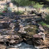 Review photo of Davis Mountains State Park by Deborah C., May 27, 2019