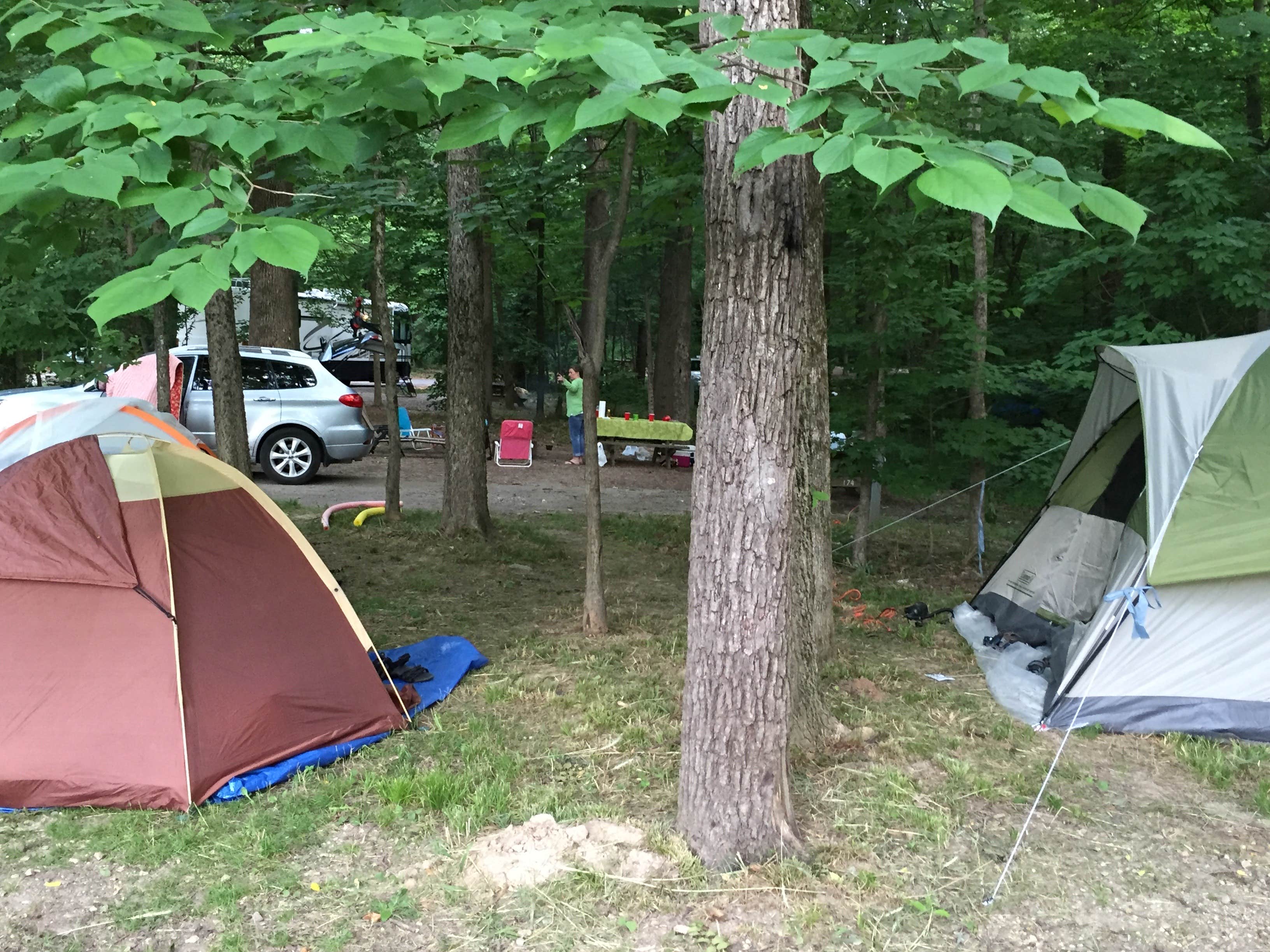 Mike  D.'s photo at Turkey Run State Park Campground near Bismarck, IL