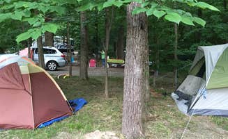 Mike D.'s photo at Turkey Run State Park Campground near Cecil M. Harden Lake