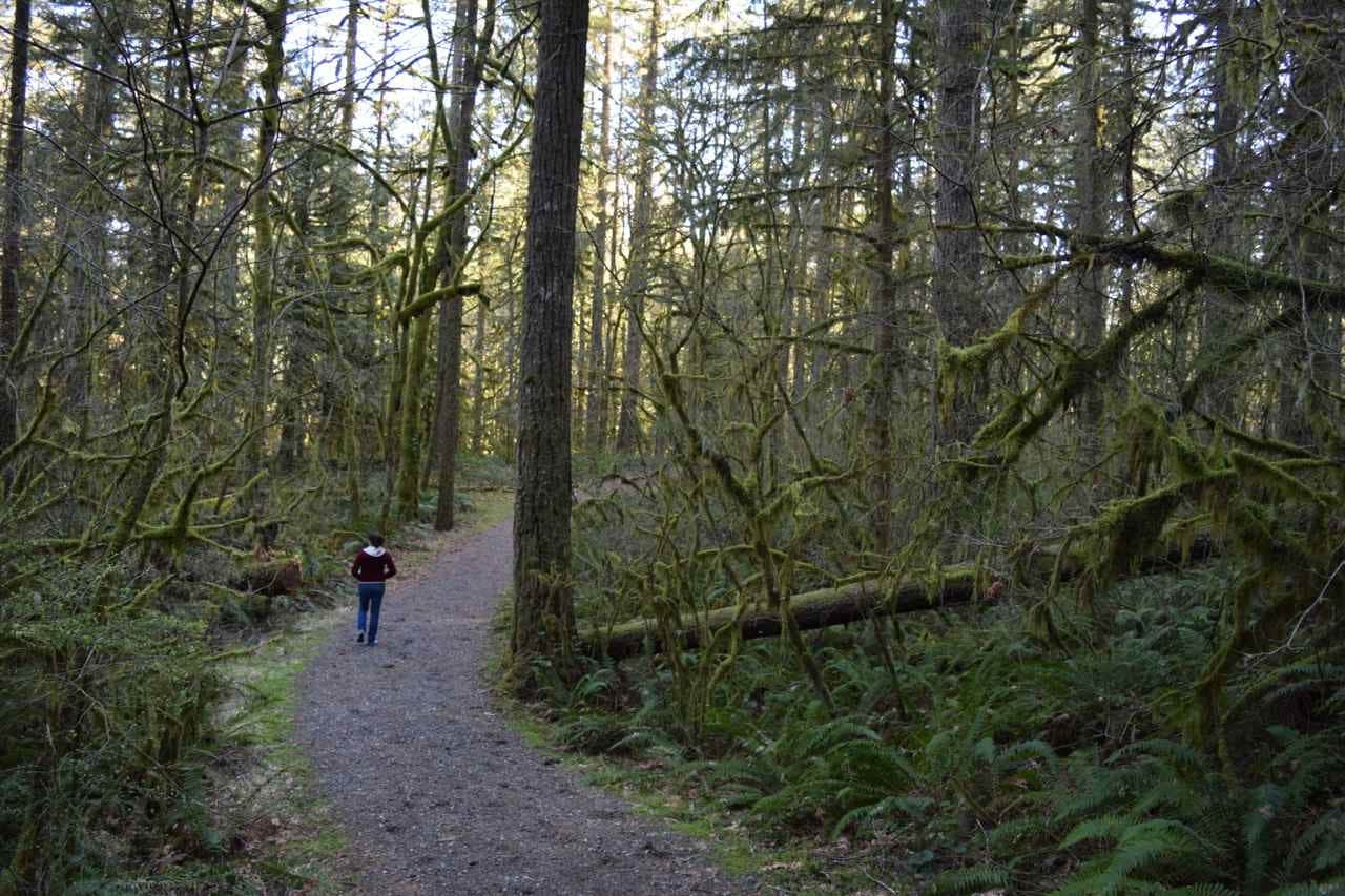 Camper submitted image from Oxbow Regional Park - 3