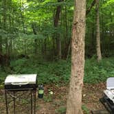 Review photo of Turkey Run State Park Campground — Turkey Run State Park by Mike  D., May 27, 2019