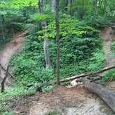 Review photo of Turkey Run State Park Campground — Turkey Run State Park by Mike  D., May 27, 2019