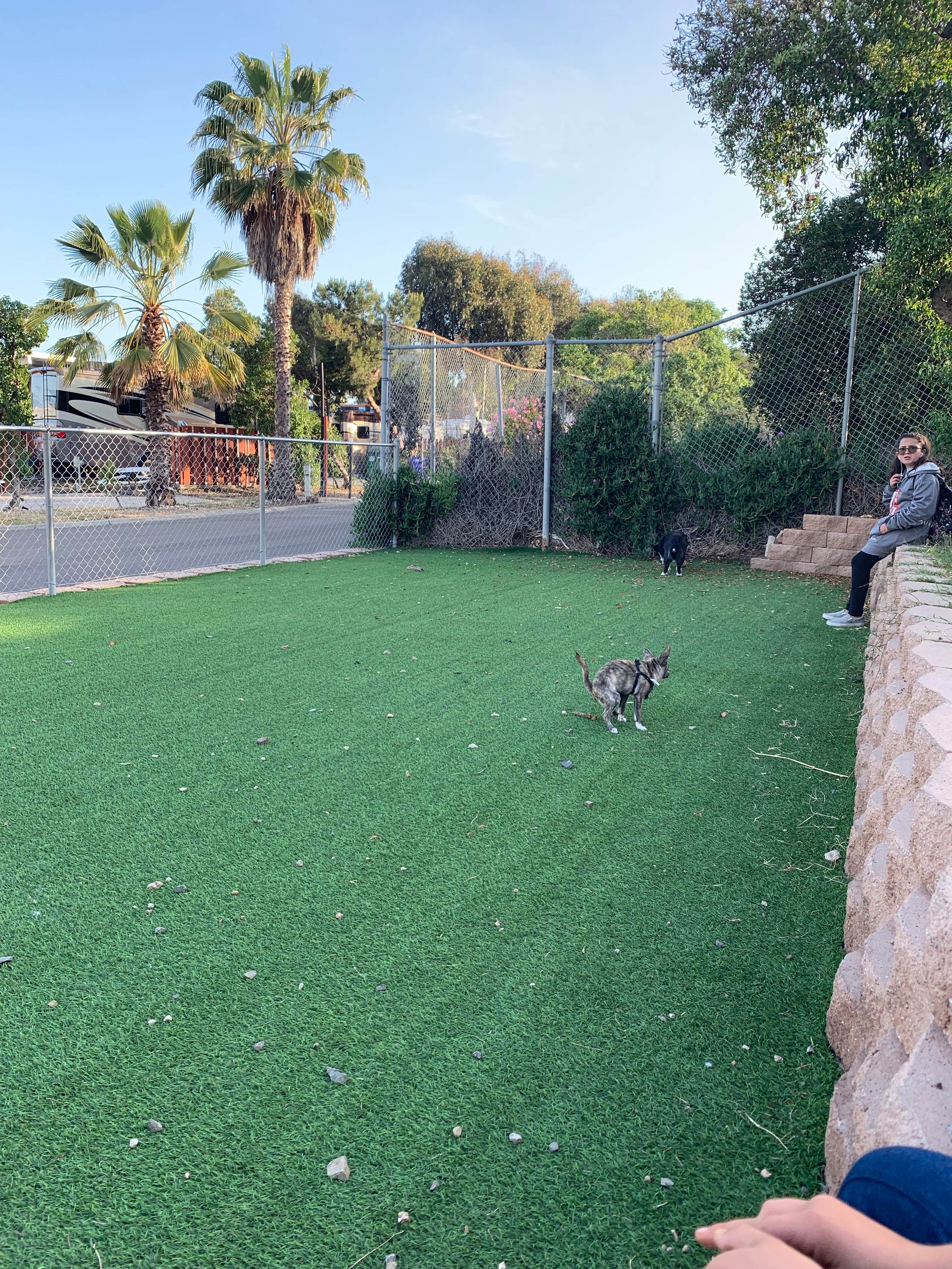 Adam H.'s photo of camping with pets at Oceanside RV Resort near Encinitas, CA