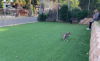 Adam H.'s photo of camping with pets at Oceanside RV Resort near Oceanside, CA