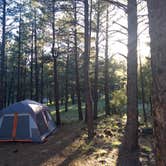 Review photo of Lakeview Campground (Az) — Coconino National Forest Recreation by I C., May 27, 2019