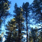 Review photo of Lakeview Campground (Az) — Coconino National Forest Recreation by I C., May 27, 2019