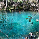 Review photo of Manatee Springs State Park Campground by Josefina  L., May 27, 2019