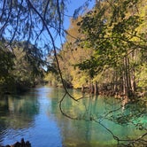 Review photo of Manatee Springs State Park Campground by Josefina  L., May 27, 2019
