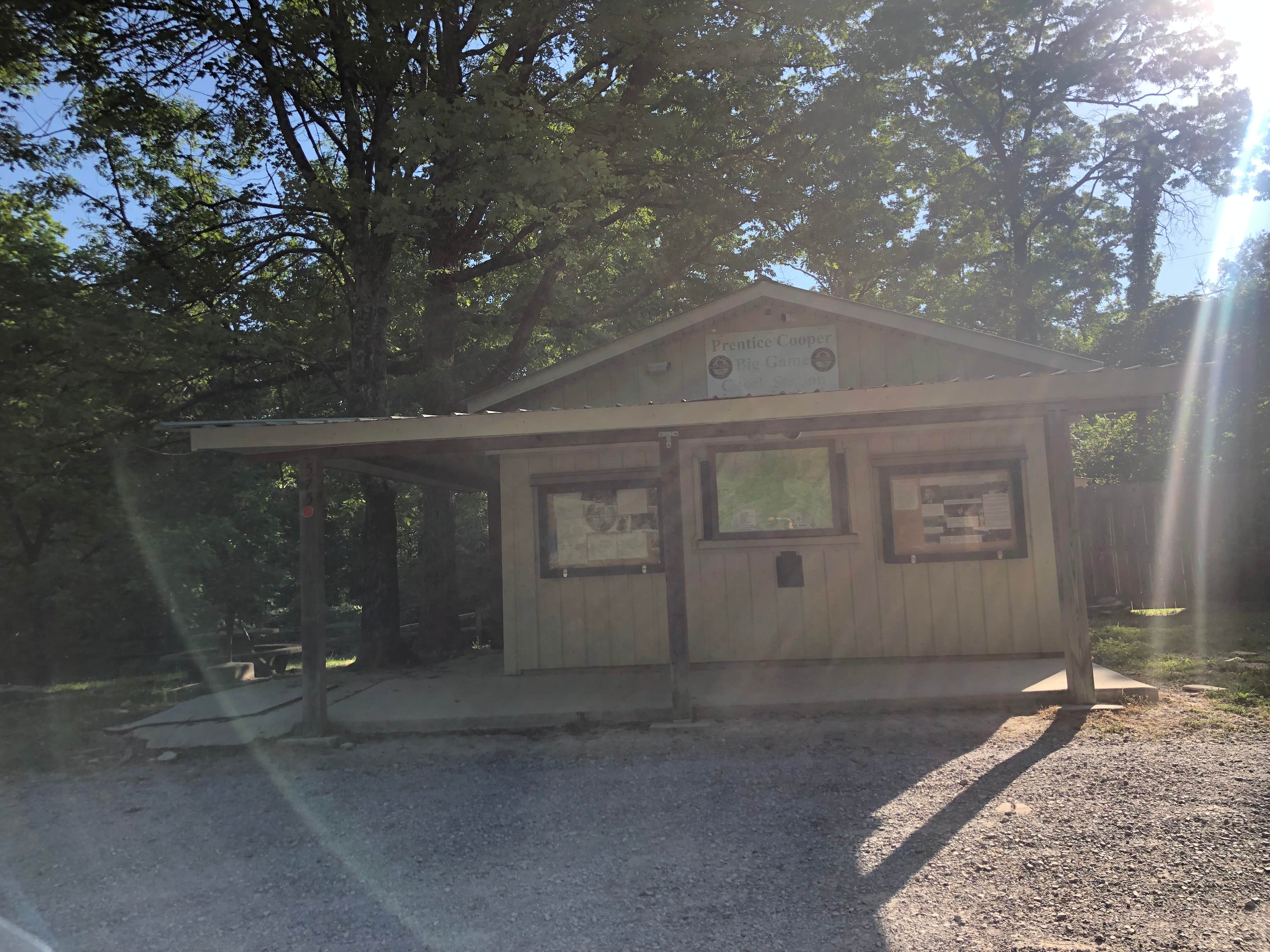 Camper submitted image from Prentice Cooper State Forest Dispersed - 2