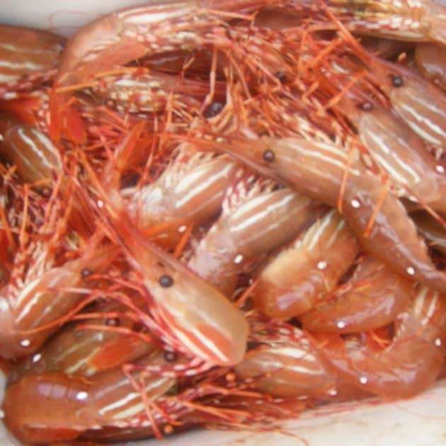 Moser Island Cabin Sitka, AK