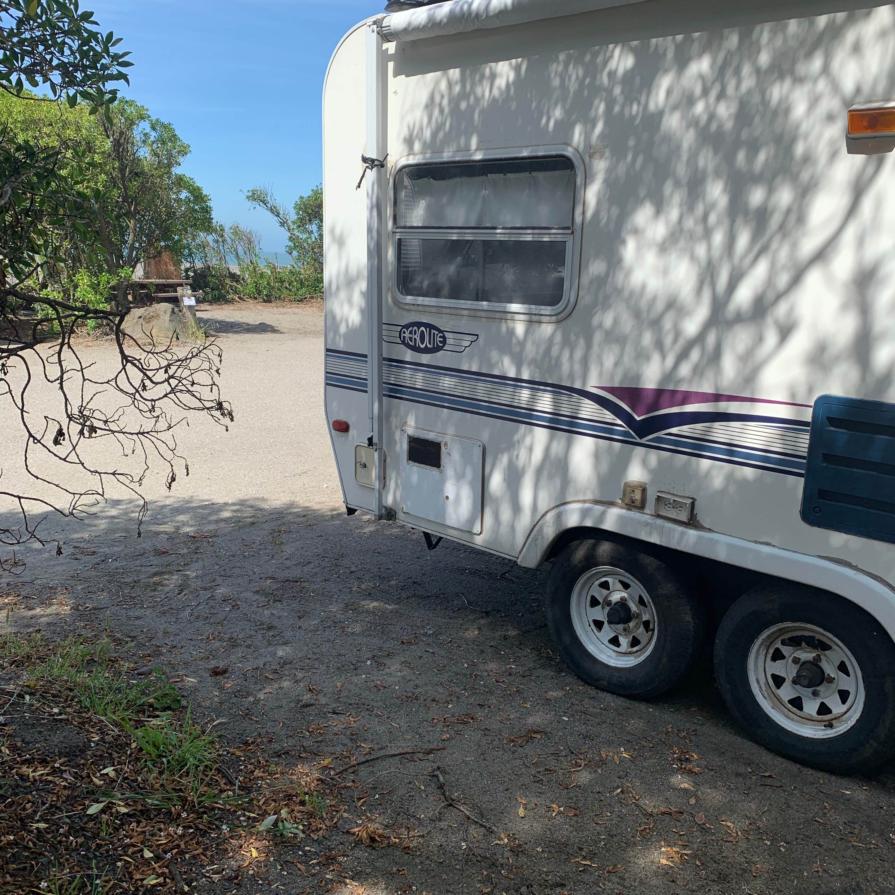 Camper submitted image from Sonoma Coast Sb - 5