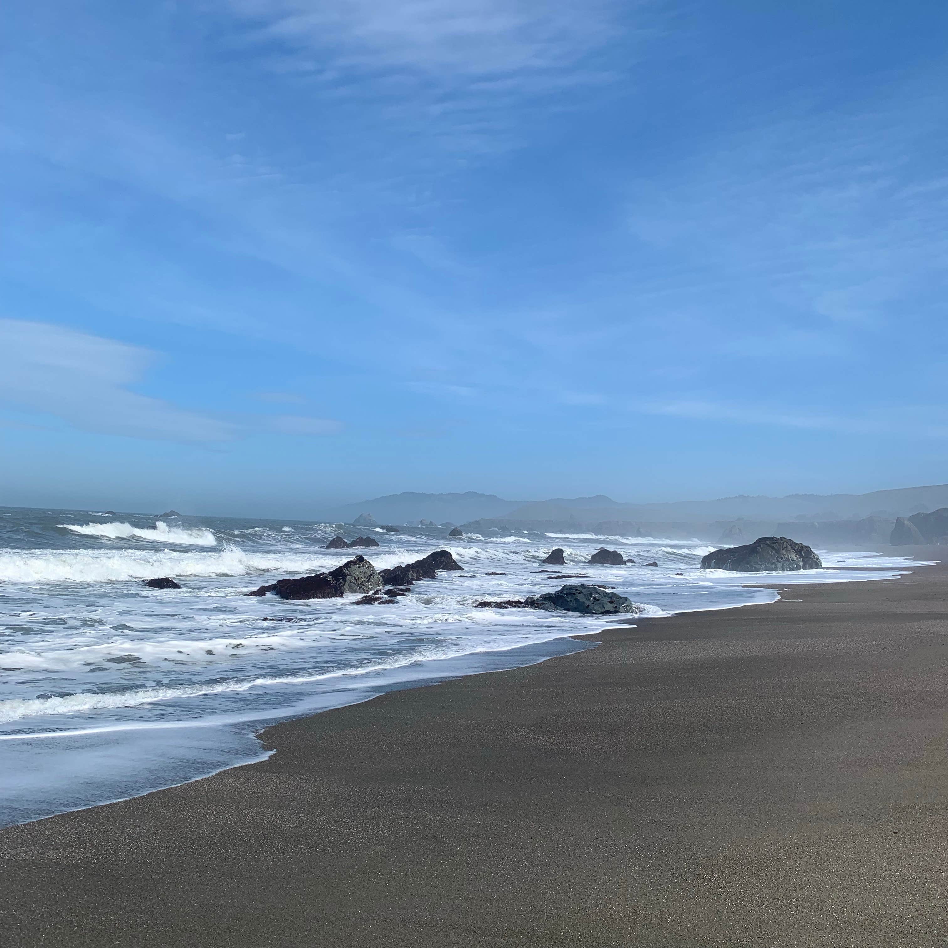 Camper submitted image from Sonoma Coast Sb - 2