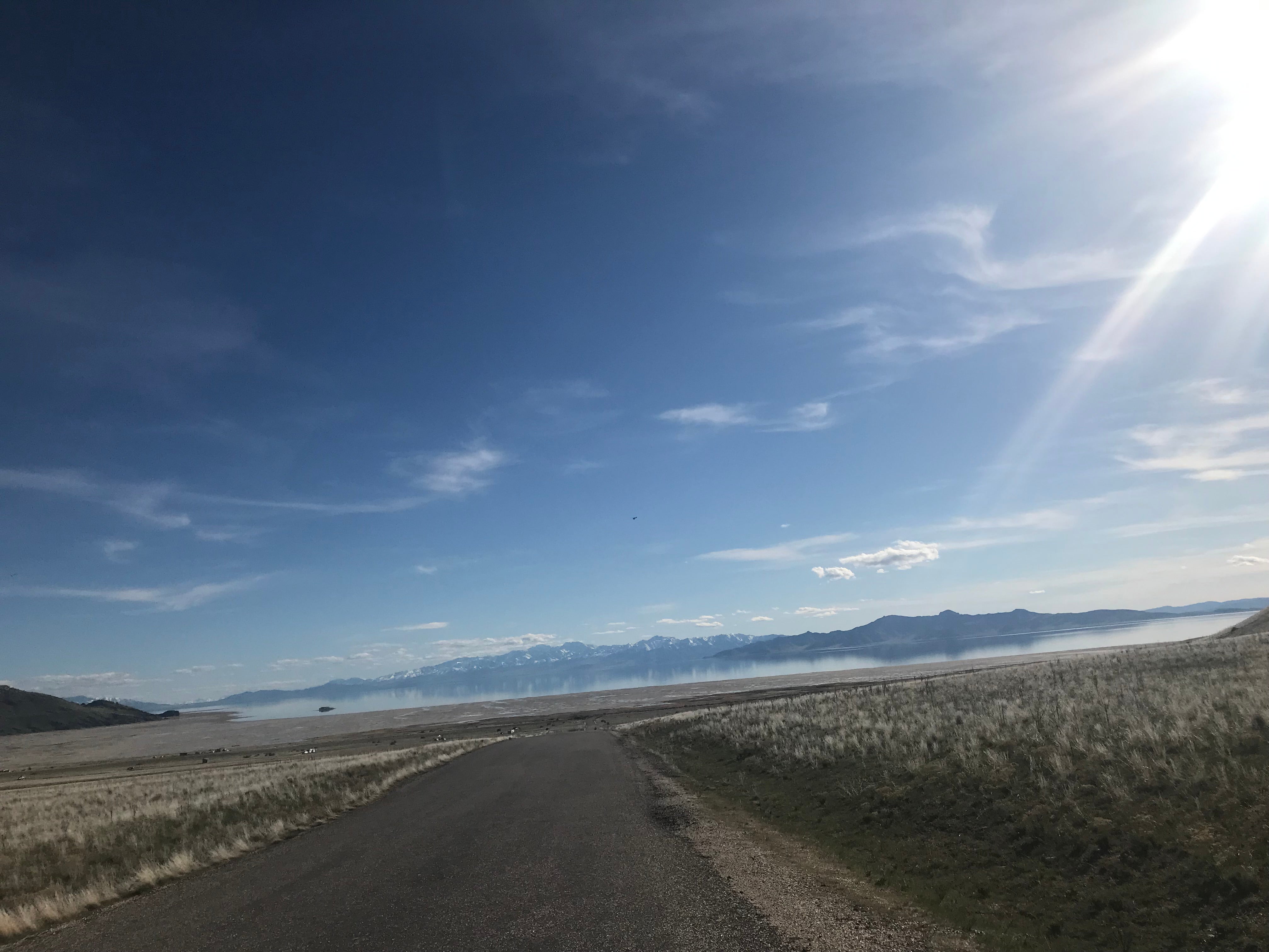 Camper submitted image from White Rock Bay Campground — Antelope Island State Park - 5