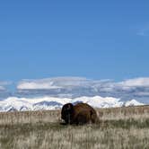 Review photo of White Rock Bay Campground — Antelope Island State Park by Jeron E., May 27, 2019