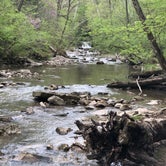 Review photo of Mccormick's Creek State Park Campground by Shannon C., May 27, 2019