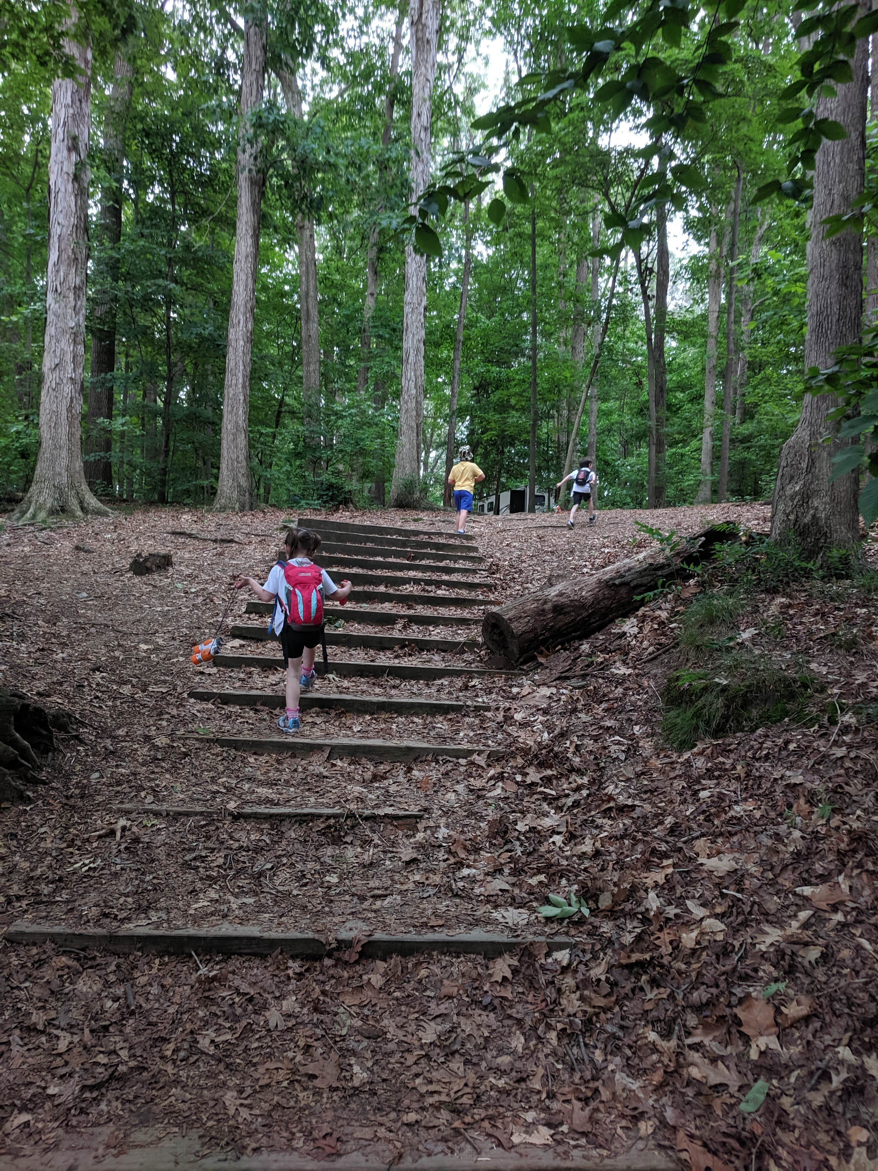 Camper submitted image from Killens Pond State Park Campground - 3