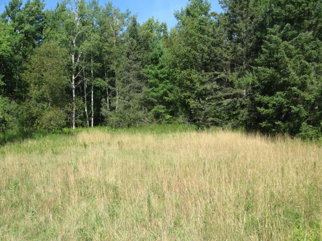 Camper-submitted photo at Langlade County Veterans Memorial Park near Merrill, WI