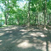 Review photo of Sandyston Boat In Campsites — Delaware Water Gap National Recreation Area by John B., August 30, 2016