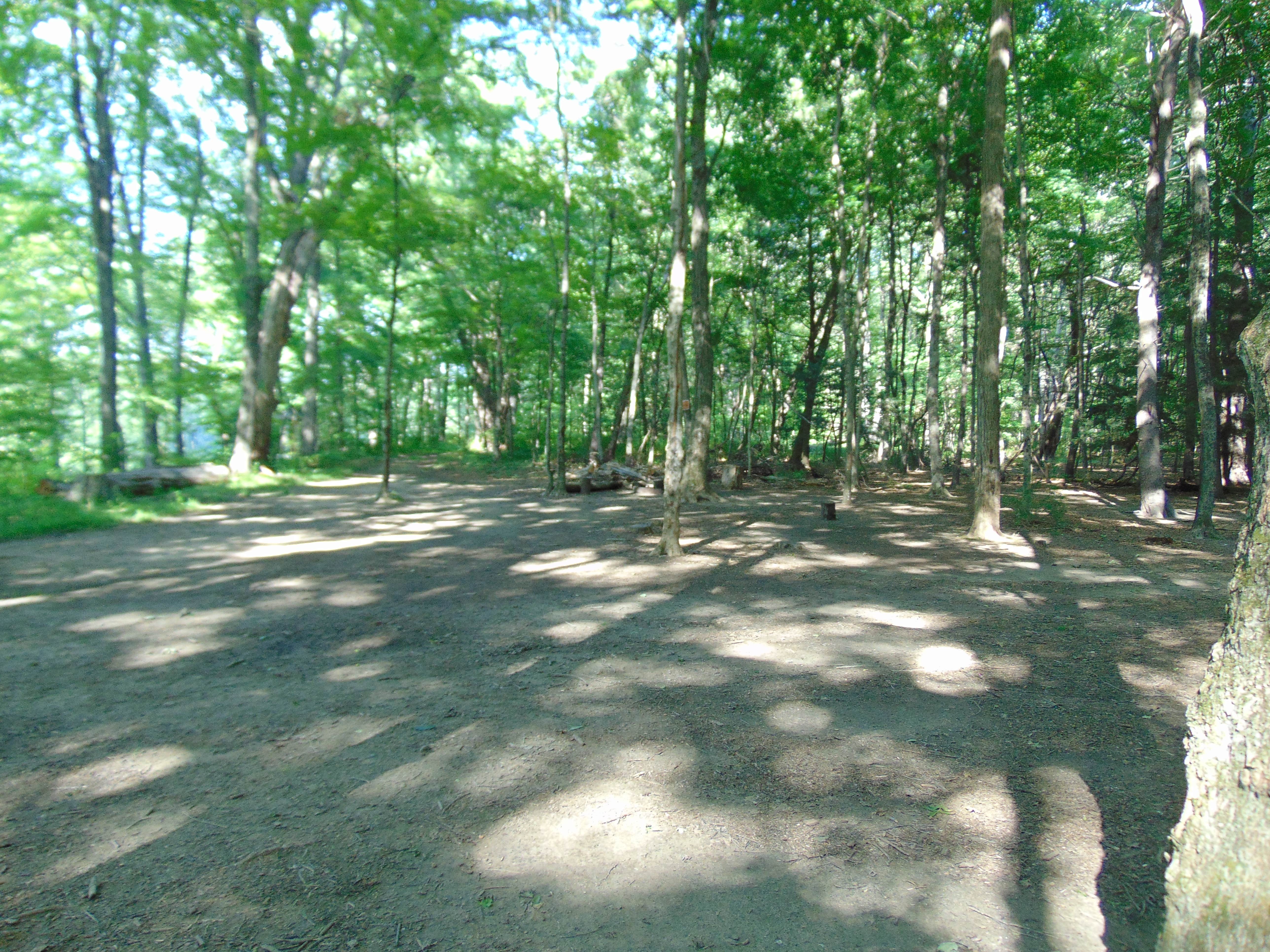 Camper submitted image from Sandyston Boat In Campsites — Delaware Water Gap National Recreation Area - 4