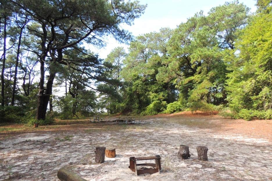 Camping near Tingles Island Backcountry Site — Assateague Island National Seashore: Green Run Backcountry Site — Assateague Island National Seashore, Girdletree, Maryland