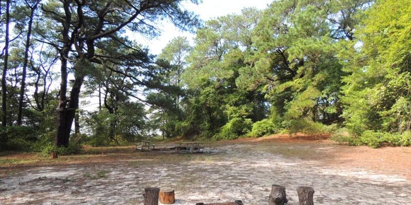 Camper submitted image from Green Run Backcountry Site — Assateague Island National Seashore