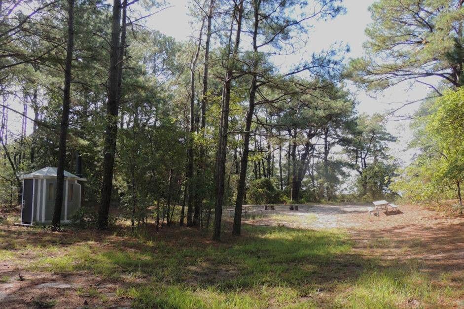 Camper-submitted photo at Green Run Backcountry Site — Assateague Island National Seashore near Rehoboth Beach, DE