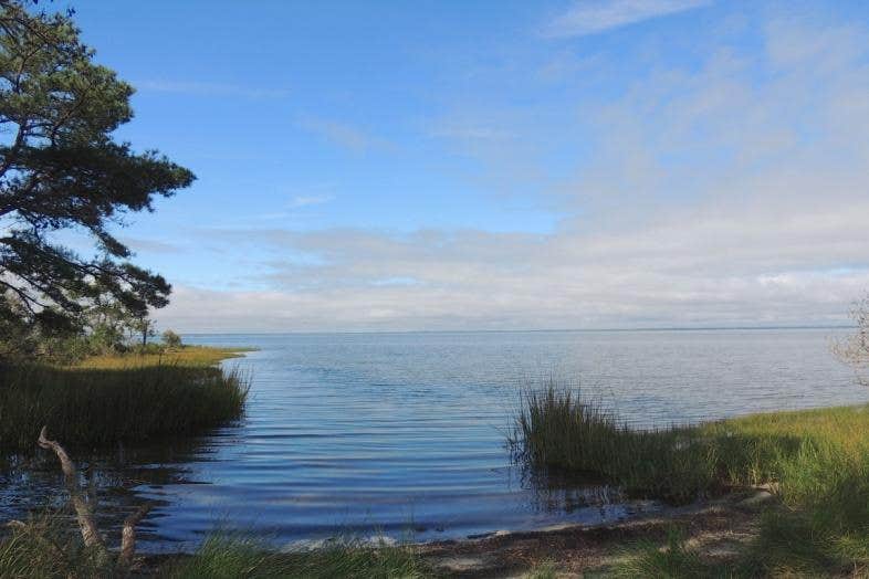 Camper-submitted photo at Green Run Backcountry Site — Assateague Island National Seashore near Rehoboth Beach, DE
